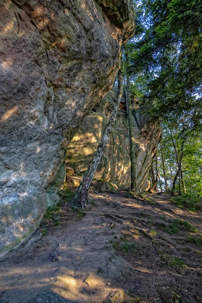 Grande Pierre Diable Dans Une Forêt Dans Les Montagnes Pogorzyce — Photo