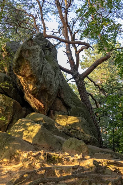 Grande Pierre Diable Dans Une Forêt Dans Les Montagnes Pogorzyce — Photo