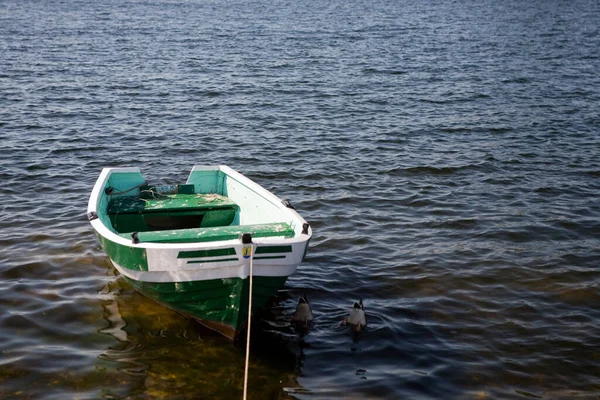 Piccola Barca Remi Vuota Acqua Una Giornata Estiva — Foto Stock