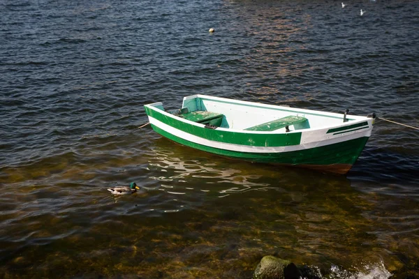Kleines Leeres Ruderboot Auf Dem Wasser Einem Sommertag — Stockfoto