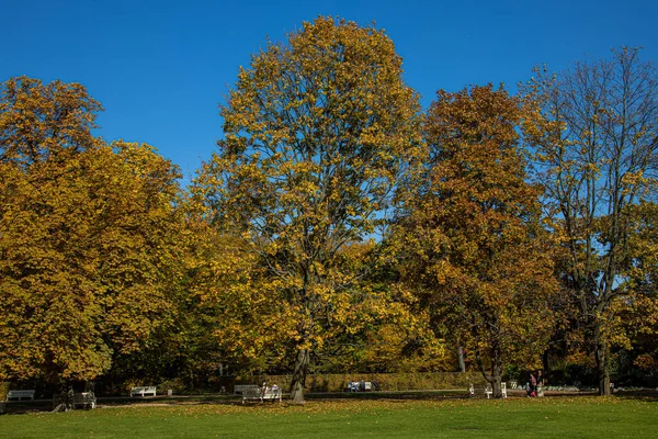 Piękny Jesienny Krajobraz Parku Warszawie Polska Ciepły Słoneczny Dzień — Zdjęcie stockowe
