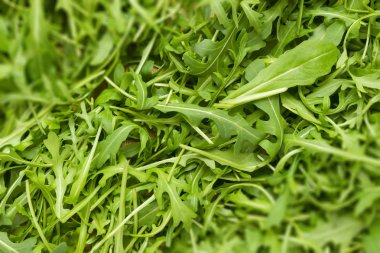rucola duvar kağıdı tam çerçeve üst görünümünde bırakır