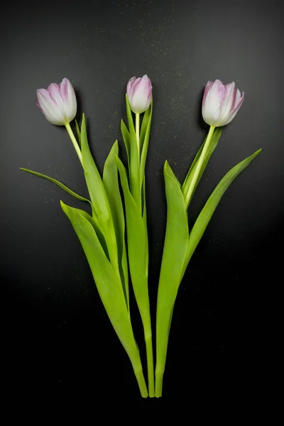 Top View Wallpaper Pink Tulips Black Background — Stock Photo, Image