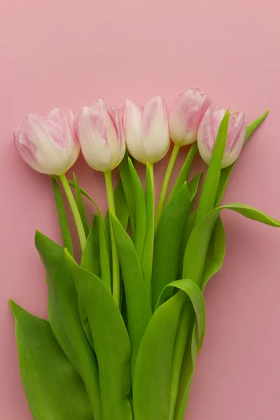 Fond Écran Vue Dessus Avec Des Tulipes Roses Sur Fond — Photo