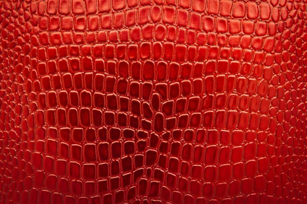 Red Glossy Artificial Crocodile Skin Wallpaper — Stok Foto