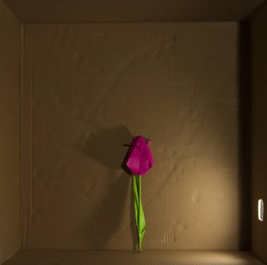 Yan ışık ile karton kutu içinde izole kağıt el yapımı çiçek