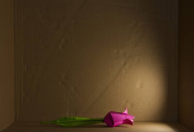 Yan ışık ile karton kutu içinde izole kağıt el yapımı çiçek