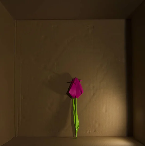 側光と段ボール箱で分離された紙の手作り花 — ストック写真