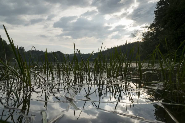 Vue Sur Lac Pendant Coucher Soleil Nuageux Été Avec Brume — Photo