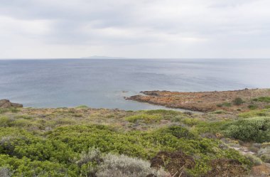 bitkiler ve bulutlu yaz günü şehirde Yunanistan sahilinin manzara