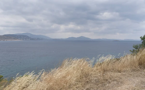Landscape Greece Shore Plants Cloudy Summer Day — Stock Photo, Image