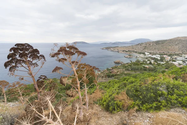 Landscape Greece Shore Plants City Cloudy Summer Day — Stock Photo, Image