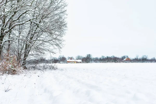Θέα Στην Ύπαιθρο Που Καλύπτεται Από Χιόνι Χειμώνα — Φωτογραφία Αρχείου
