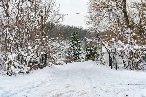 Träden Nära Floden Täckta Med Vit Snö Vintern — Stockfoto