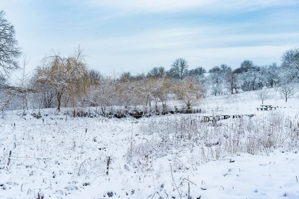 Panorama Een Landelijk Gebied Met Bomen Bedekt Met Sneeuw Winter — Stockfoto