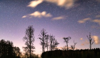 Gece manzarası - yıldızlı gökyüzü beyaz bulutlar ile arka plan üzerinde çeşitli ağaçlar