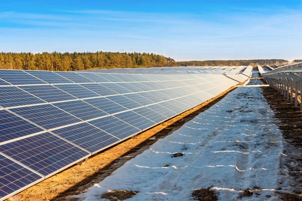 Secciones con paneles solares en el fondo del cielo y el árbol —  Fotos de Stock