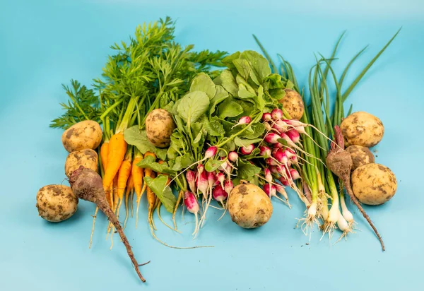 Verschiedenes frisches Gemüse vom Bauernhof auf türkisfarbenem Rücken — Stockfoto