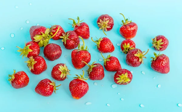 Un ramo de fresas con gotas de agua en color turquesa — Foto de Stock