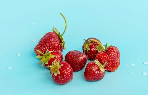一串草莓，一滴水，呈绿松石色 — 图库照片