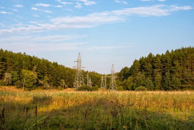 Orman zemininde metal destekli elektrik hattı