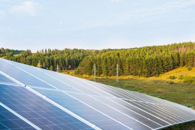 Ormandaki elektrik hatlarının arka planındaki güneş panelleri