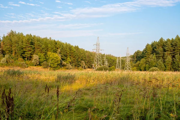 Power line with metal supports on forest background — Stock Photo, Image