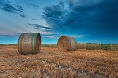 Hasat buğday alanları İtalyan yaz akşamları