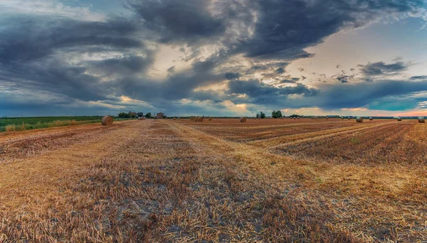 Зібраний Урожай Пшениці Поля Італійських Літнього Вечору — стокове фото