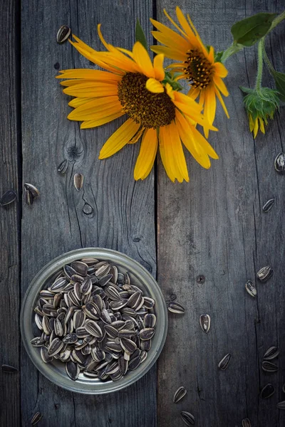 Sunflower Seeds Wood Rustic Table — Stock Photo, Image