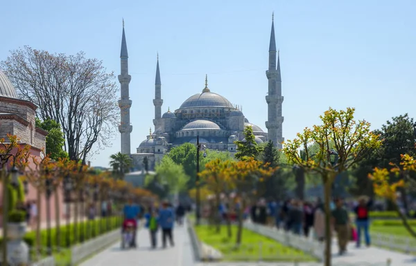 Grande Mosquée Istanbul Sultan Ahmed Empire Ottoman — Photo