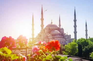 Sultanahmet Camii (Sultanahmet) Istanbul'da binanın tepesinden görünümü