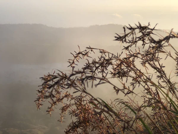 巴厘岛巴图尔山上的日出 — 图库照片