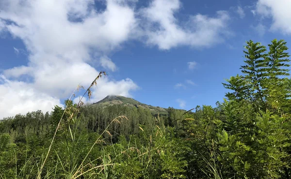 Volcano Mountain Covered Forest Sky Clouds Traces Lava Ground Mount — Stock Photo, Image