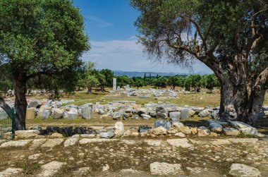 Teos antik kentin kalıntıları. Sığacık, Seferihisar, Izmir, Türkiye.