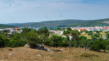 Teos antik kentin kalıntıları. Sığacık, Seferihisar, Izmir, Türkiye.