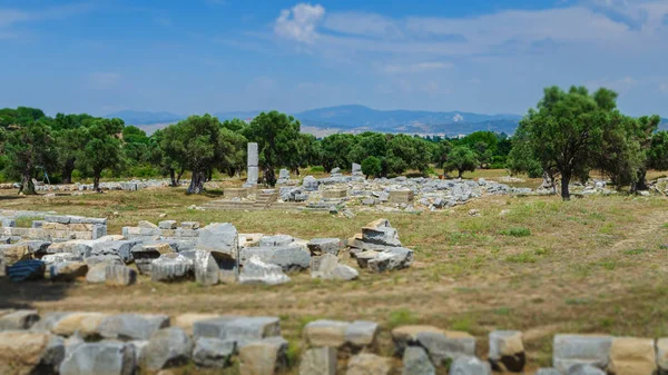 Teos antik kentin kalıntıları. Sığacık, Seferihisar, Izmir, Türkiye. — Stok fotoğraf
