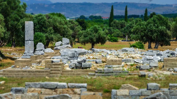 Teos Antik Kenti Kalıntıları Sigacık Seferihisar Zmir Türkiye Kuşadası Nın — Stok fotoğraf