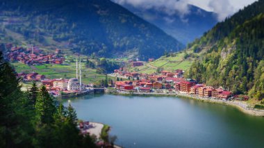 Uzungol dağı üzerindeki cami, Trabzon, Türkiye