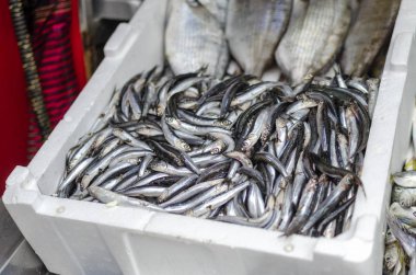 Satılık piyasada bir tepsi de yatan taze balık