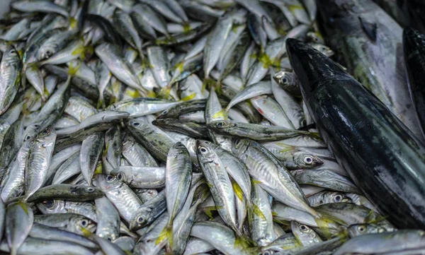 Various fish on the counter fish shop