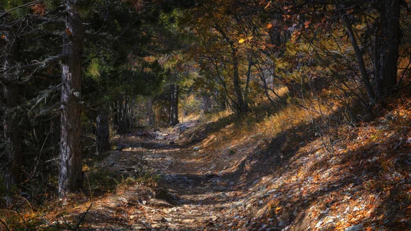 Beau Paysage Automne Vue Depuis Côte Péninsule Athos Halkidiki Grèce — Photo