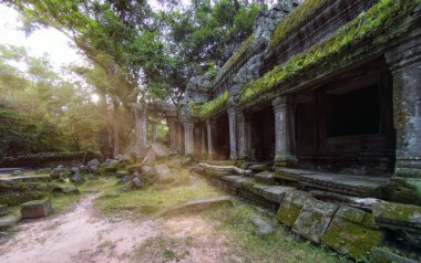 Ta Prohm tapınağının antik taş kalıntıları, Angkor, Kamboçya