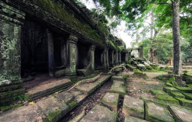 Ta Prohm tapınağının antik taş kalıntıları, Angkor, Kamboçya