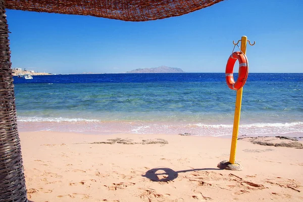 Chaise Salonek Slunečníky Pláži Proti Modré Obloze Moři Egypt Sharm — Stock fotografie