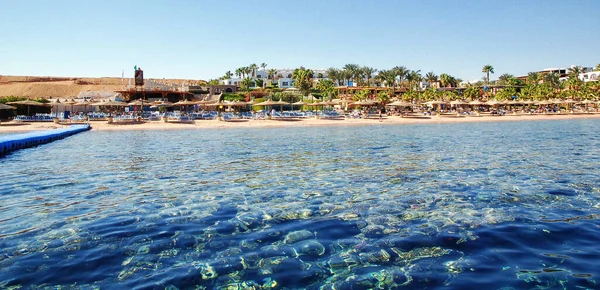 Chaise Lounge Parasols Het Strand Tegen Blauwe Lucht Zee Egypte — Stockfoto