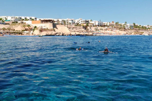 Búvárkodás Sharm Sheikh Egyiptom — Stock Fotó