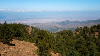 Dağ ormanı manzarası, Troodos doğa yolu, Kıbrıs. Olimbos Zirvesinden Görünüm