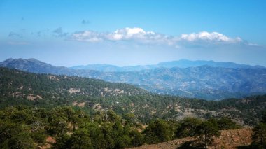 Dağ ormanı manzarası, Troodos doğa yolu, Kıbrıs. Olimbos Zirvesinden Görünüm