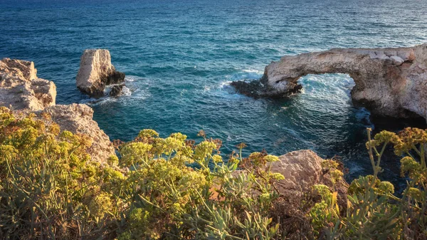 キプロス アイア ナパカ 愛の橋 海の中の岩のアーチ グレコ岬 地中海の美しい海岸 キプロスの自然の魅力 — ストック写真
